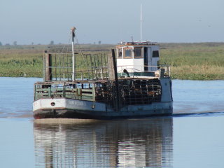 Le bateau de transport du bétail