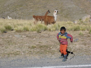 Vers el Enfernillo- Petit argentin et son lama